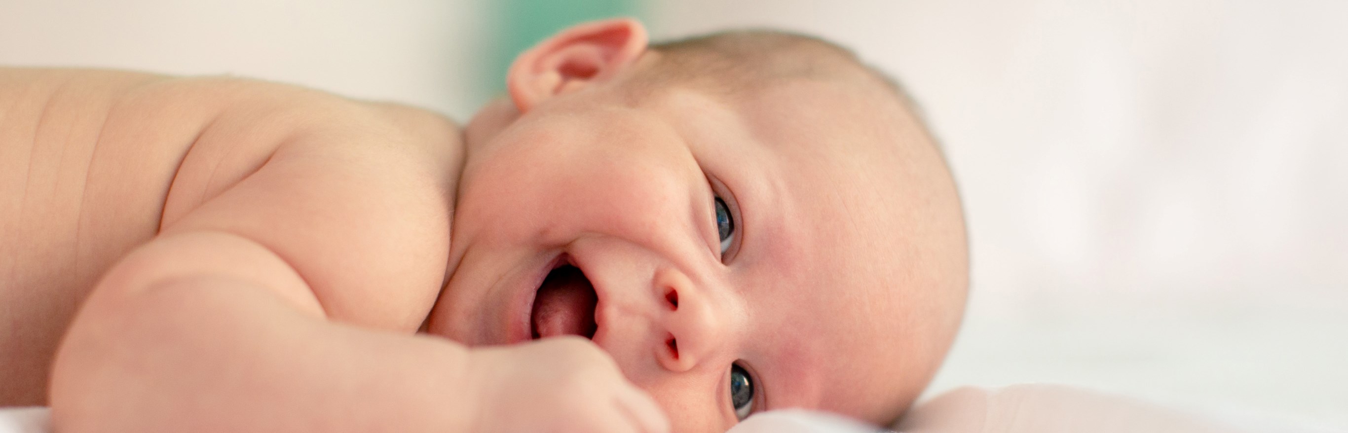 Det fjerde trimester Barnashus.no