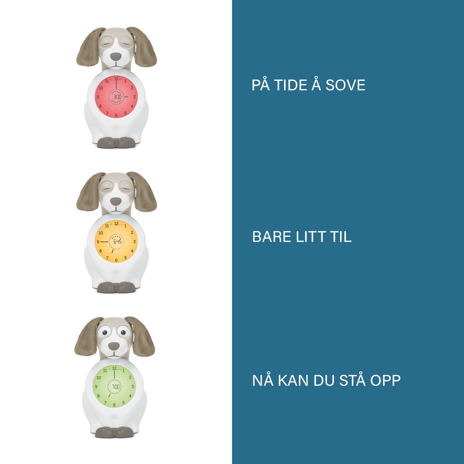 ZAZU Søvntrener Davy, Grønn