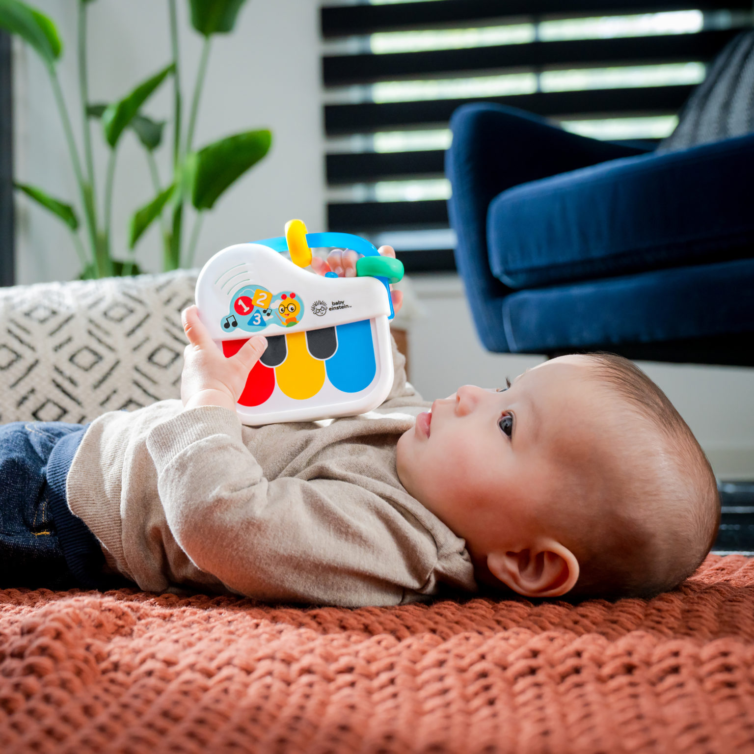 Miniklaver babyleke, multiple