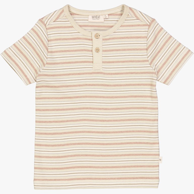 Bertram kortermet t-skjorte, dustystripe Brun - 11032940-Dusty Stri-98cm - 1