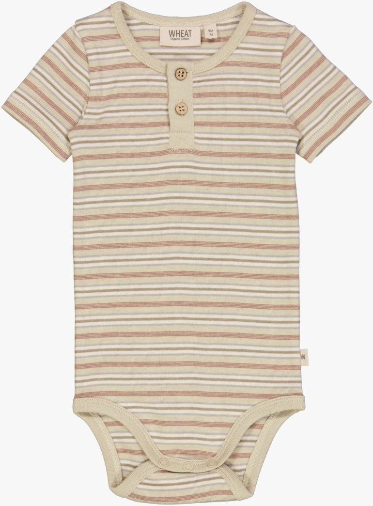 Kortermet body, dustystripe Brun - 11032979-Dusty Stri-62cm - 1