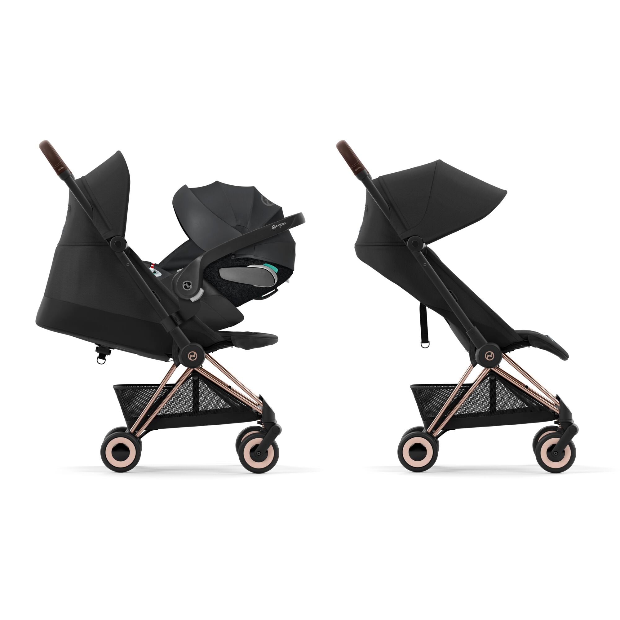 Coya Rosegold, sepiablack