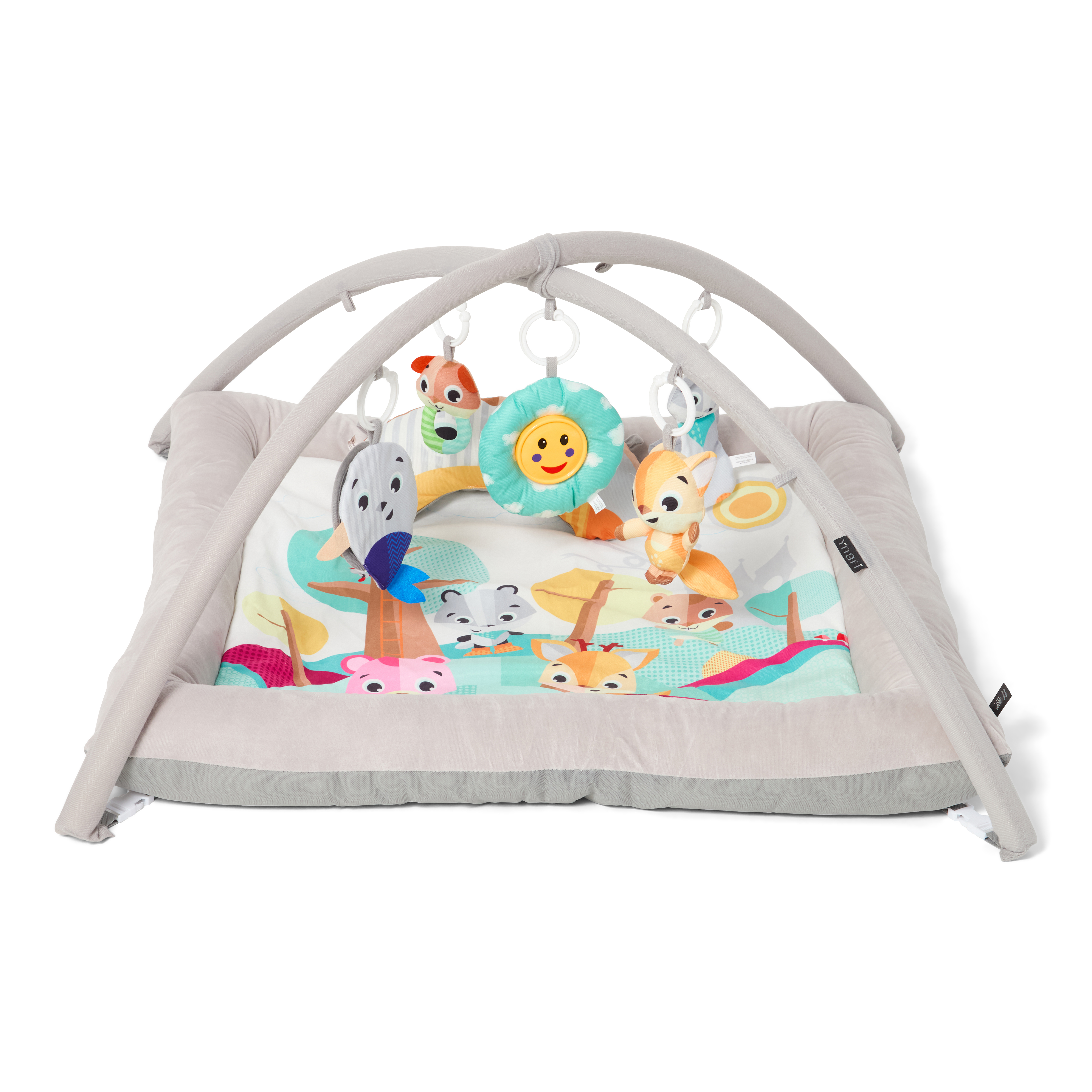 Babygym aktivitiet, mulit