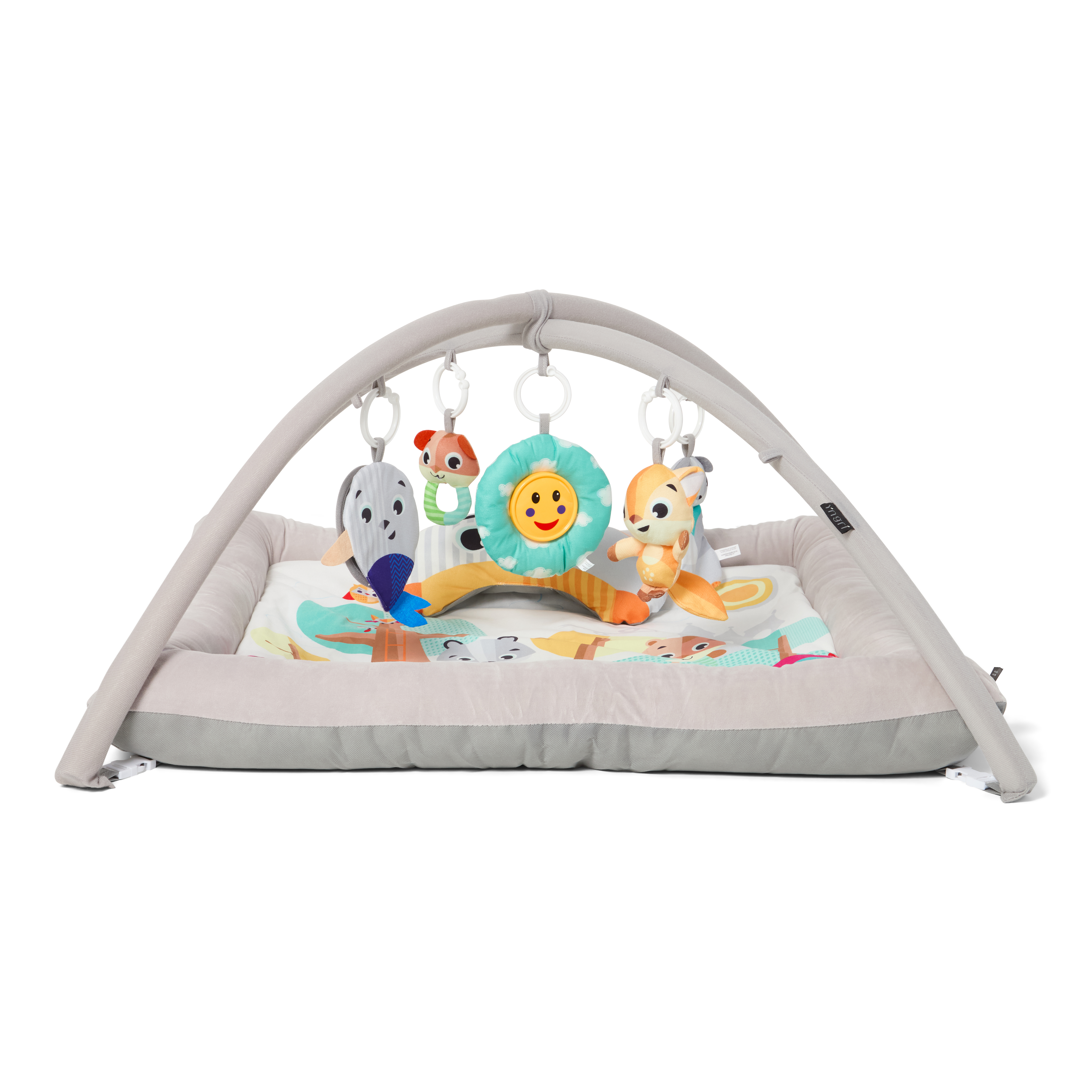 Babygym aktivitiet, mulit