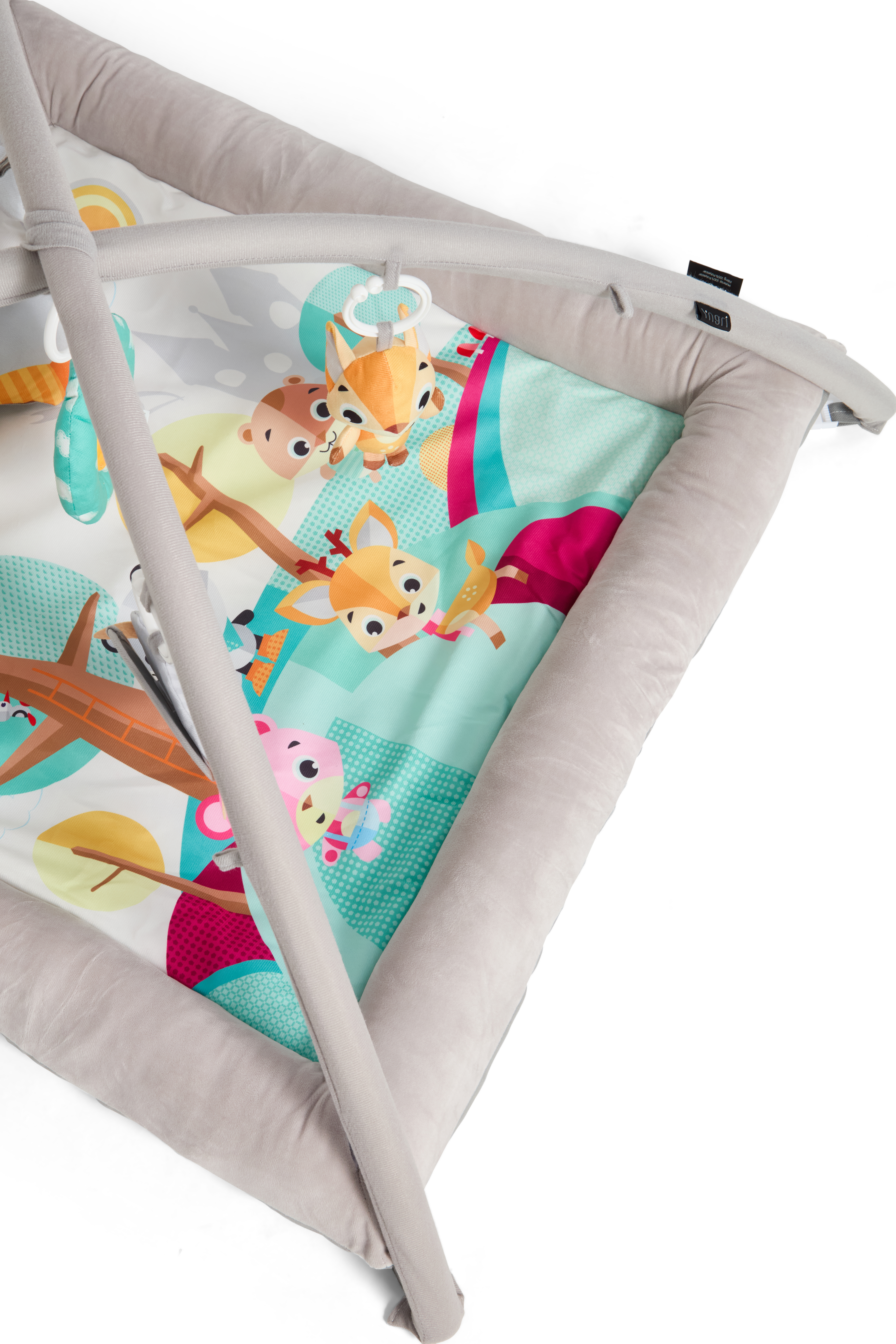 Babygym aktivitiet, mulit