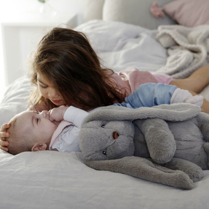 Kanin kosebamse, lightgrey