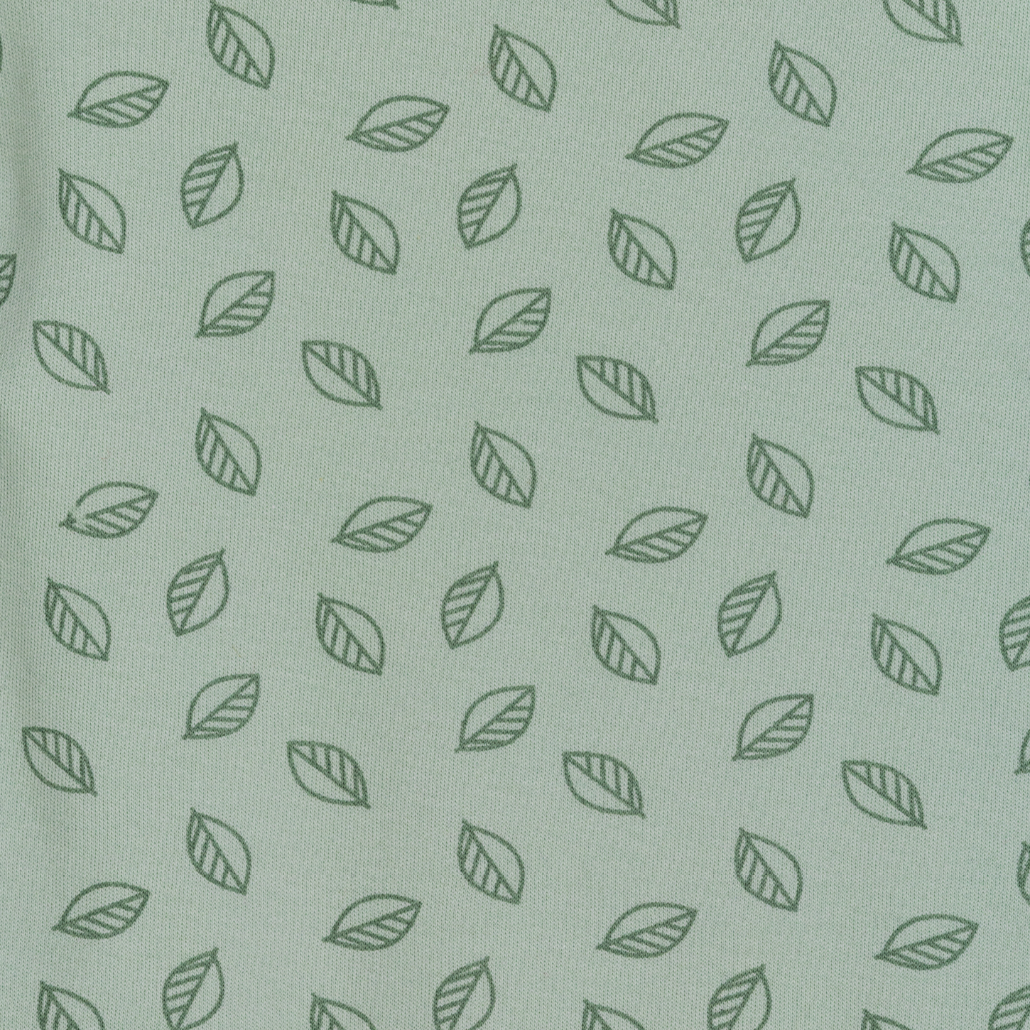 Bruse body, dustygreen