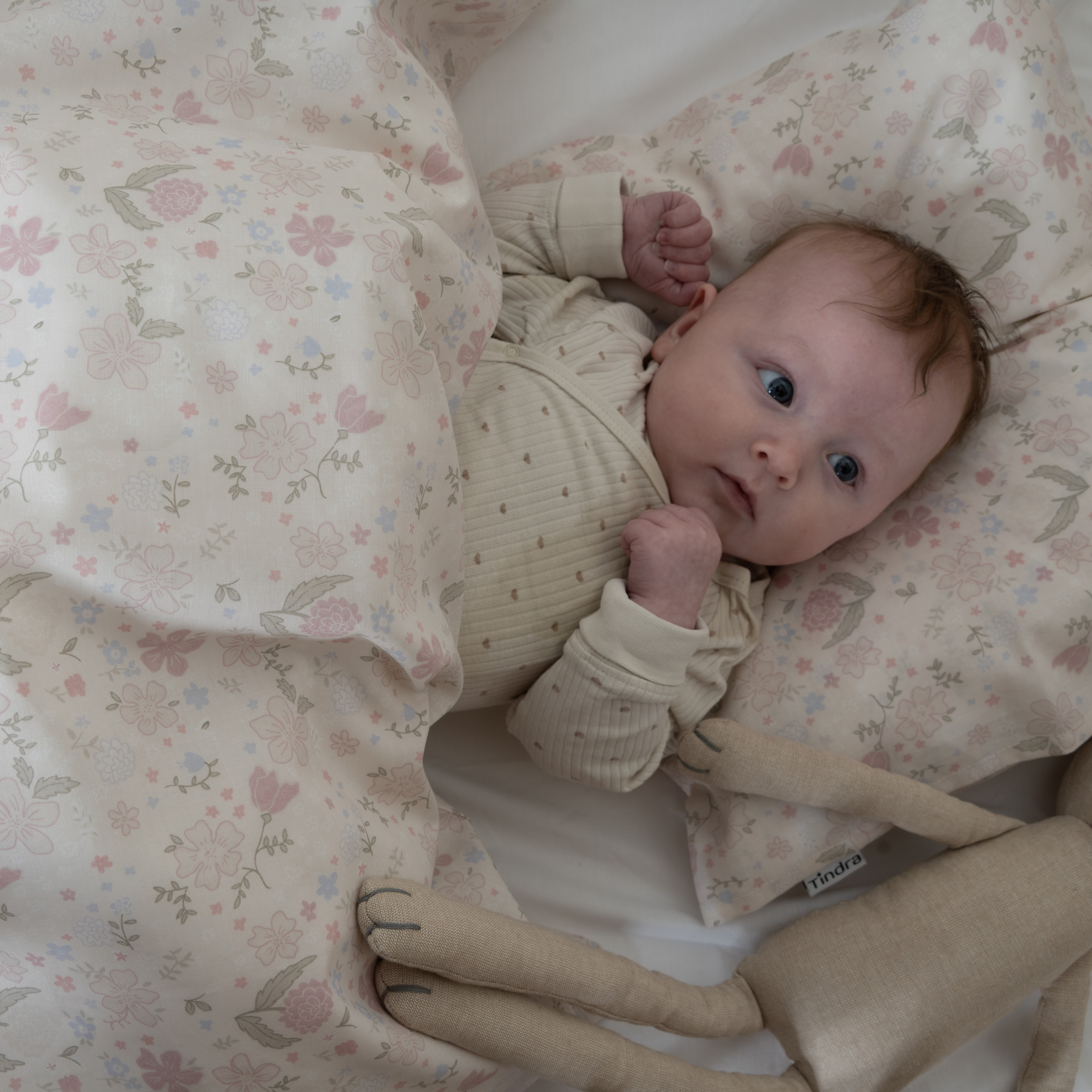 Sengesett Sommereng, multiple
