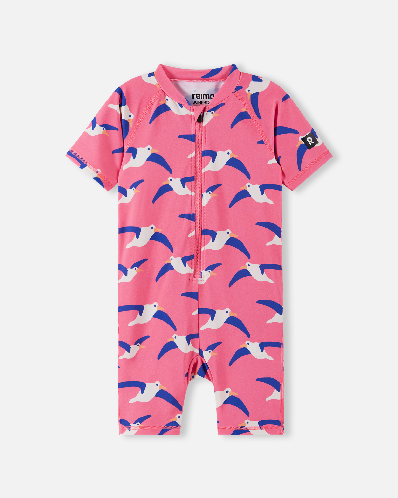 softcoral