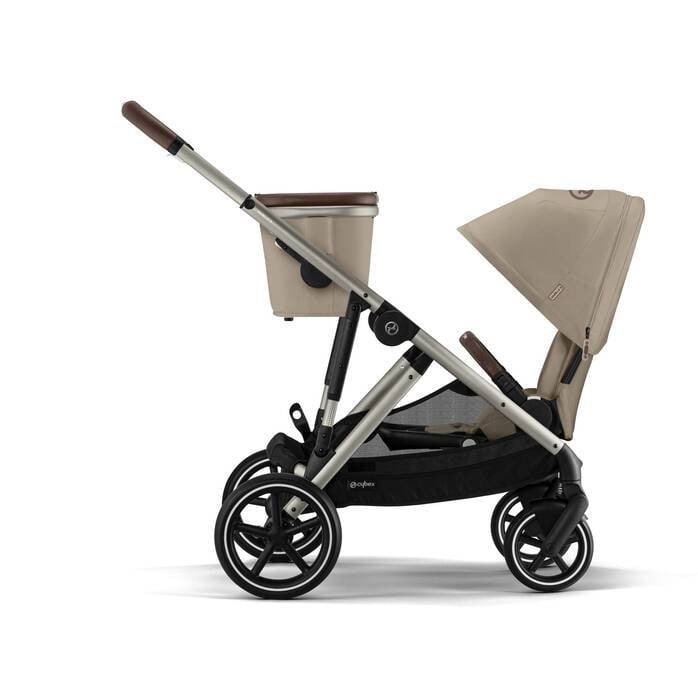 Gazelle S, almond