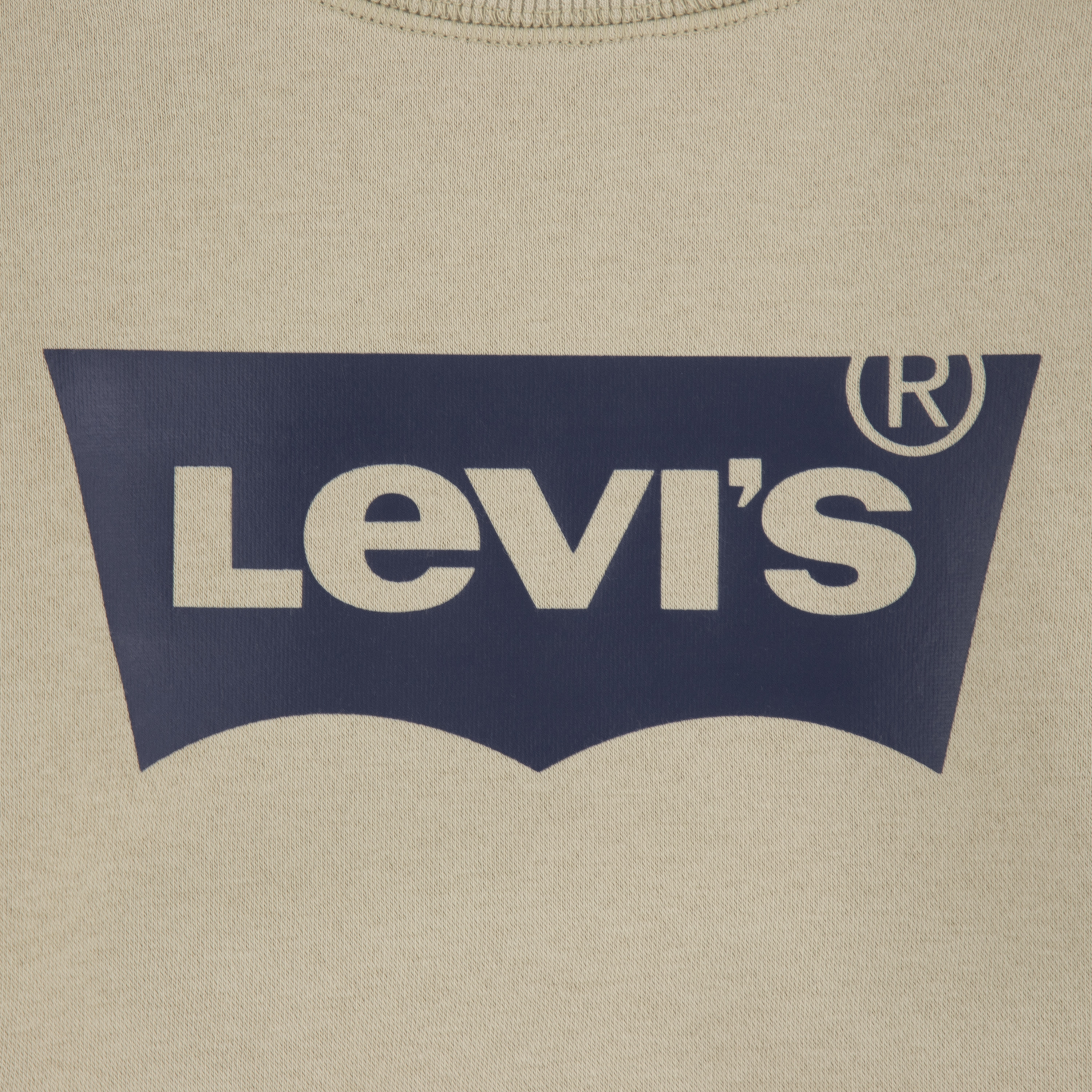 Levi's® Batwing Crewneck collegegenser, fieldsofrye